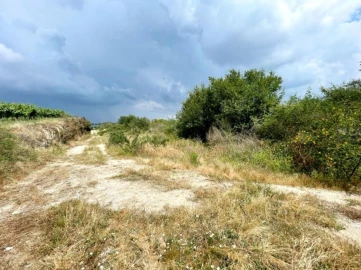 Terreno P/ Prédio para Venda em Paredes
