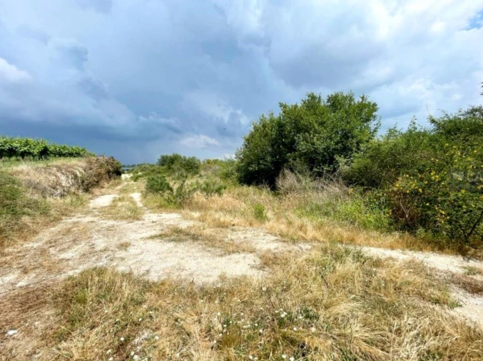 Terreno P/ Prédio para Venda em Paredes Foto 2