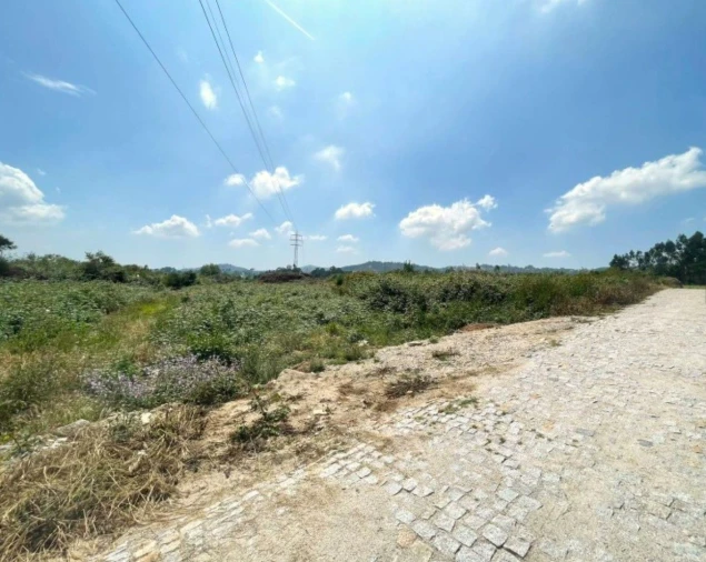 Terreno P/ Prédio para Venda em Paredes Foto 3