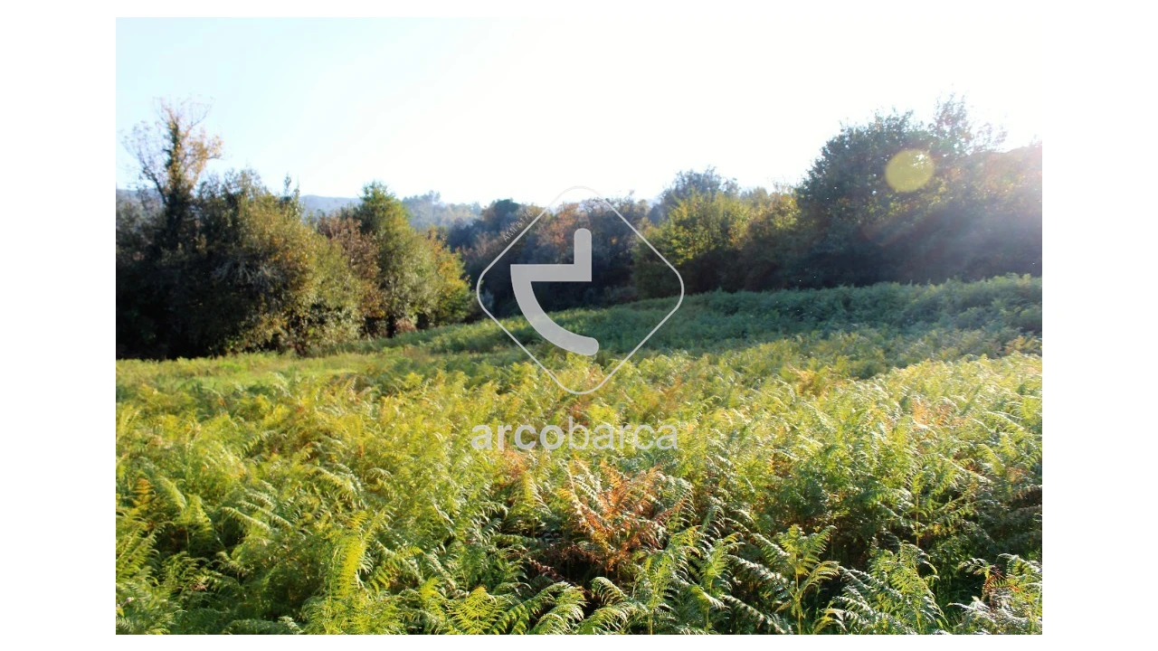 Quinta T2 para Venda em Bravães Foto 15