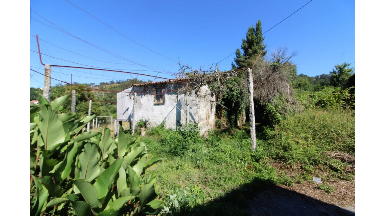 Quinta T2 para Venda em Bravães Foto 3