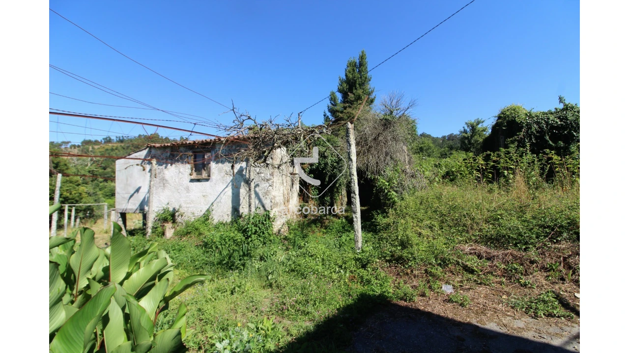 Quinta T2 para Venda em Bravães Foto 10