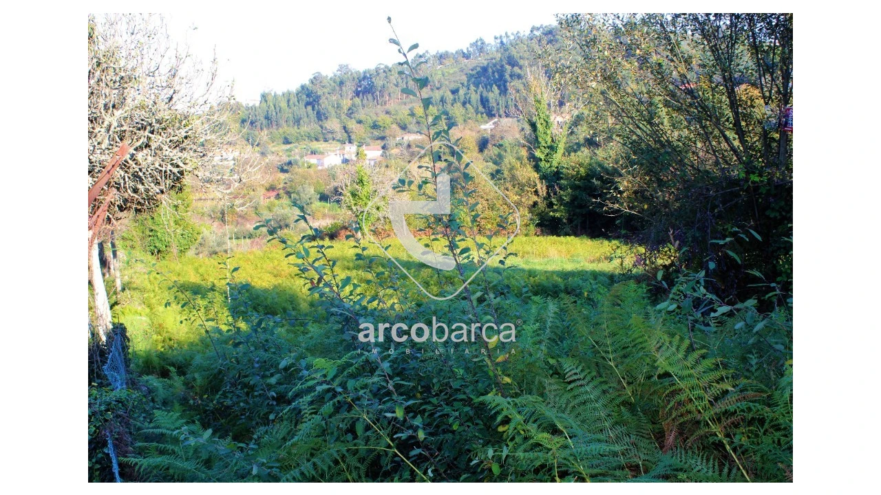 Quinta T2 para Venda em Bravães Foto 19