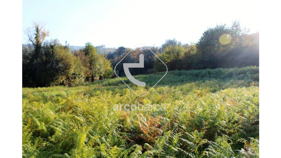 Quinta T2 para Venda em Bravães Foto 15