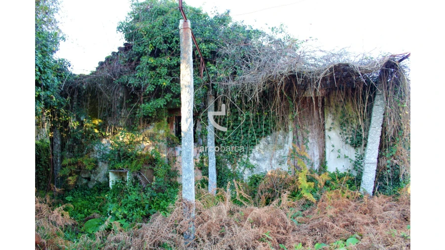 Quinta T2 para Venda em Bravães Foto 24