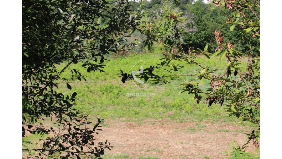 Quinta T2 para Venda em Bravães Foto 42