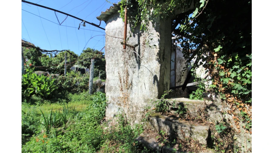 Quinta T2 para Venda em Bravães Foto 39