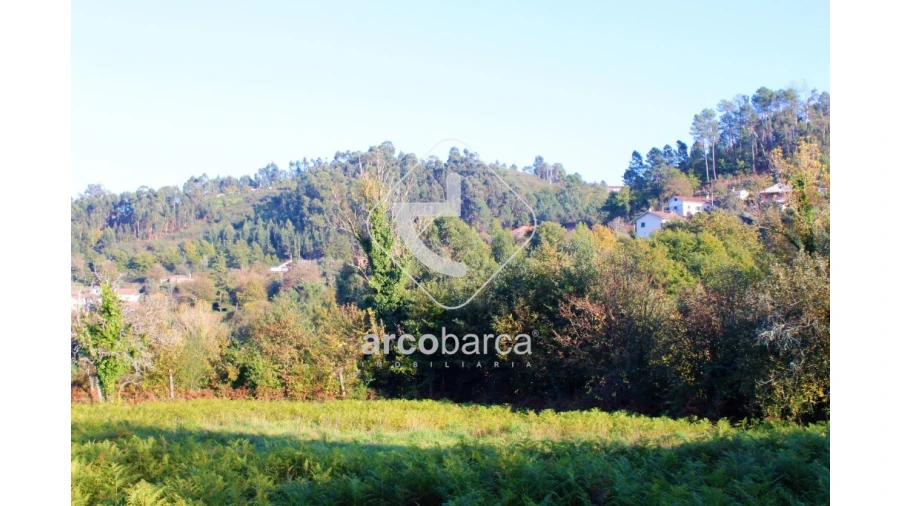 Quinta T2 para Venda em Bravães Foto 17