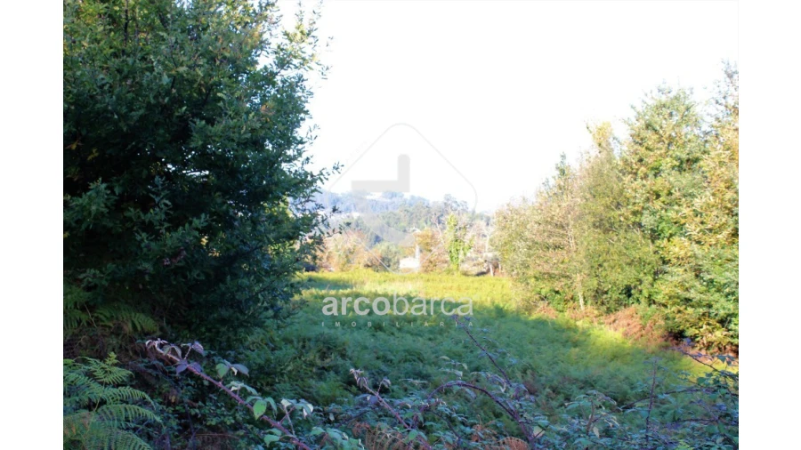 Quinta T2 para Venda em Bravães Foto 20