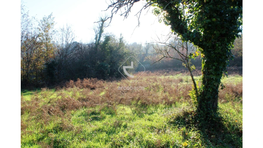 Quinta T2 para Venda em Bravães Foto 27