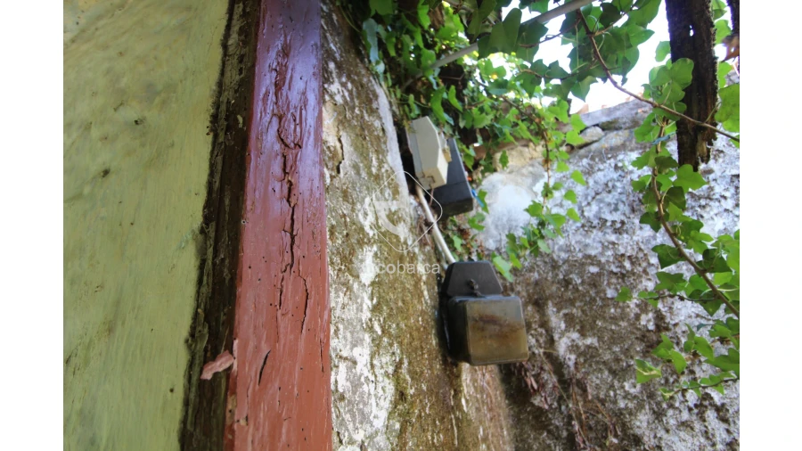 Quinta T2 para Venda em Bravães Foto 38