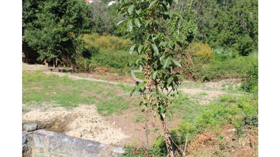 Quinta T2 para Venda em Bravães Foto 43