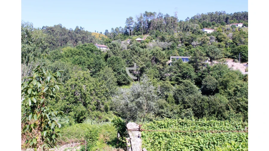 Quinta T2 para Venda em Bravães Foto 44