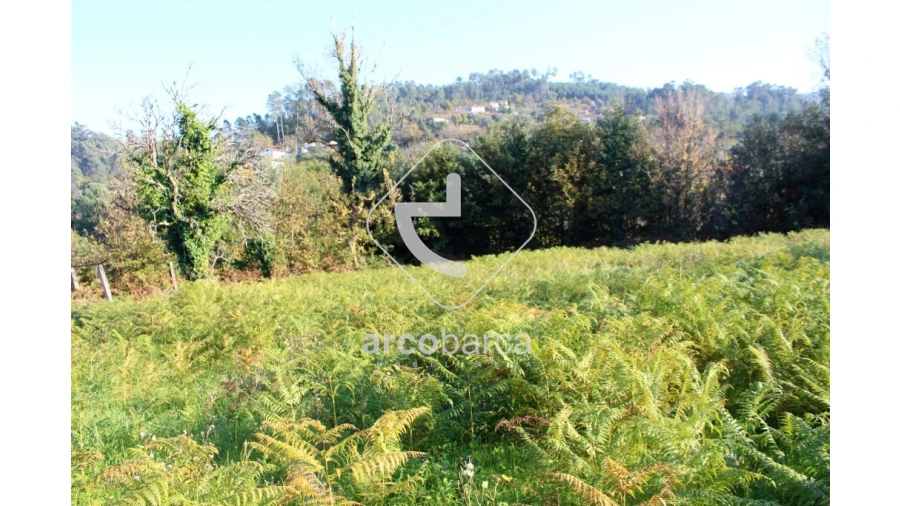 Quinta T2 para Venda em Bravães Foto 21