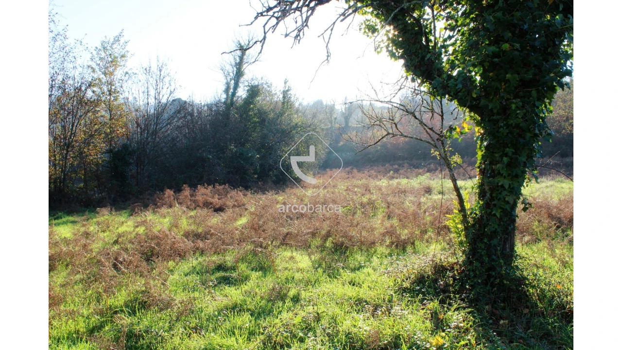 Quinta T2 para Venda em Bravães Foto 27