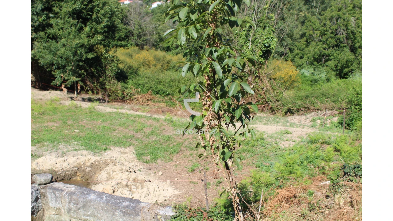 Quinta T2 para Venda em Bravães Foto 43