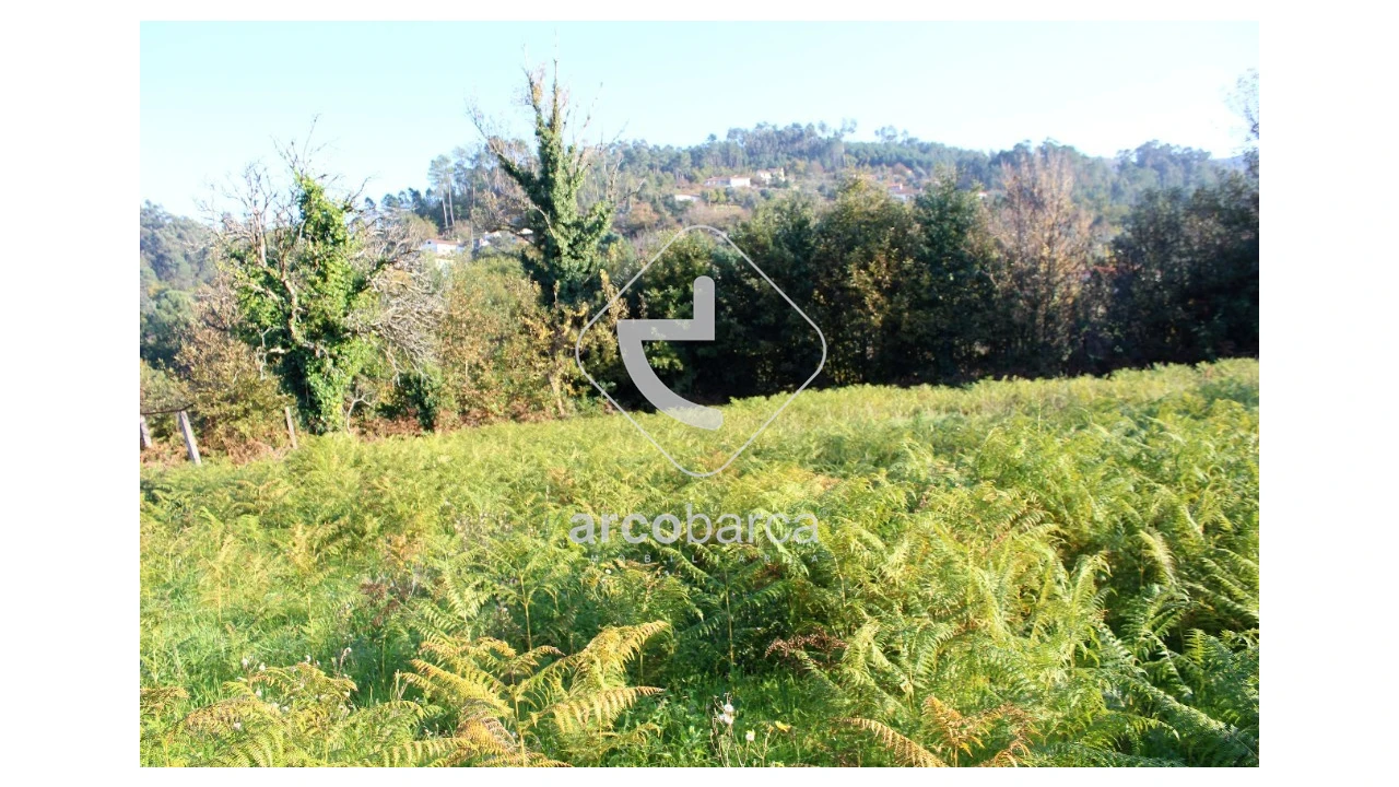 Quinta T2 para Venda em Bravães Foto 21