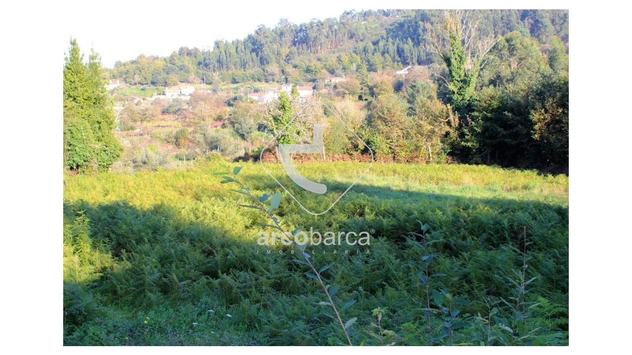 Quinta T2 para Venda em Bravães Foto 16