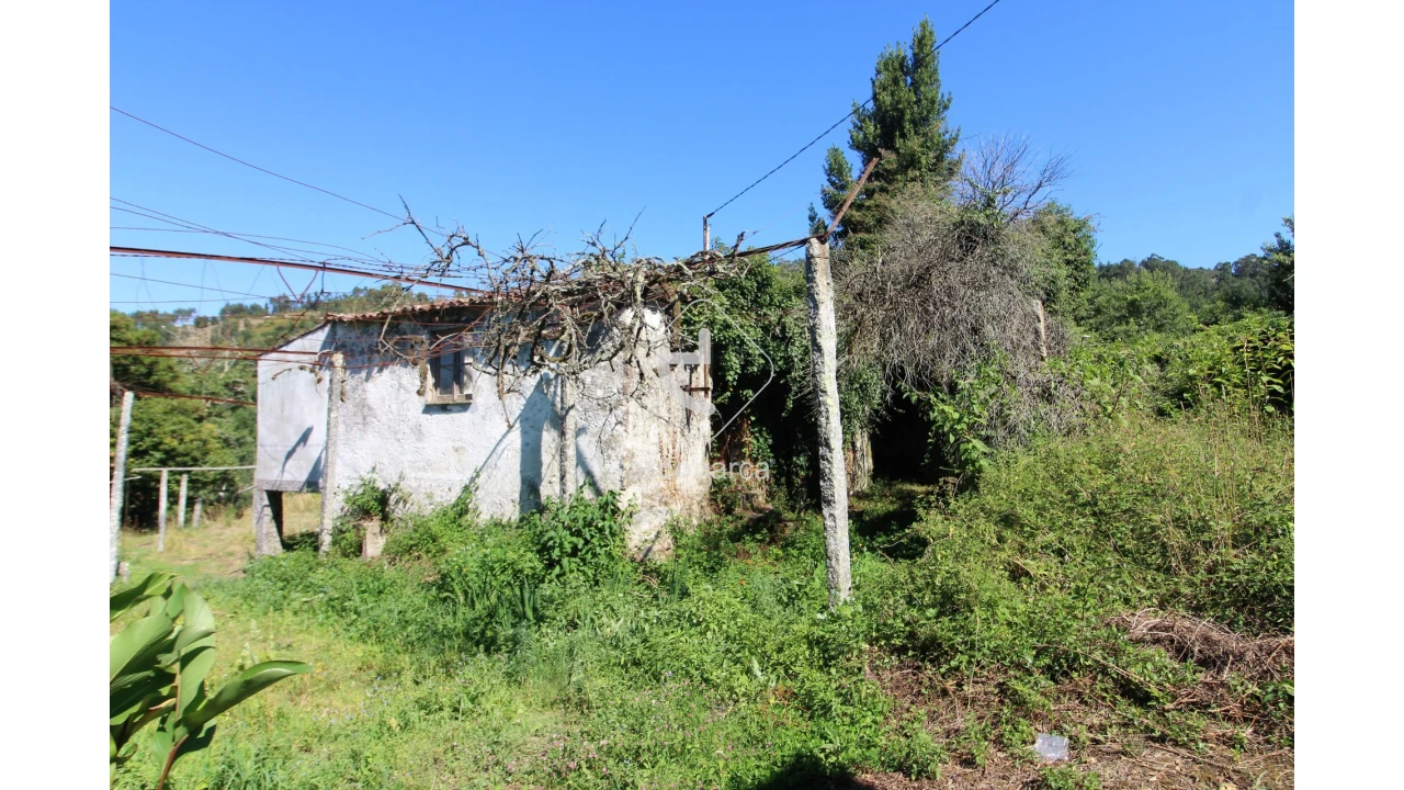 Quinta T2 para Venda em Bravães Foto 31