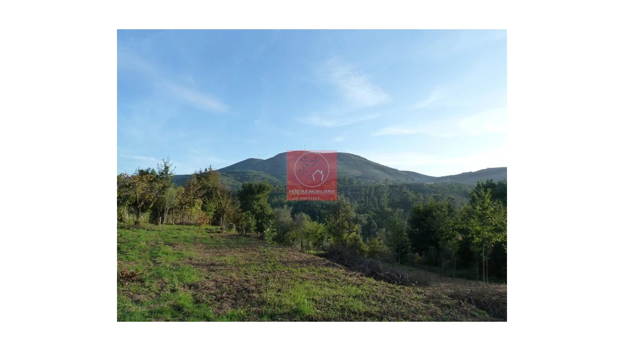 Moradia T3 para Venda em Ruivães e Campos Foto 7