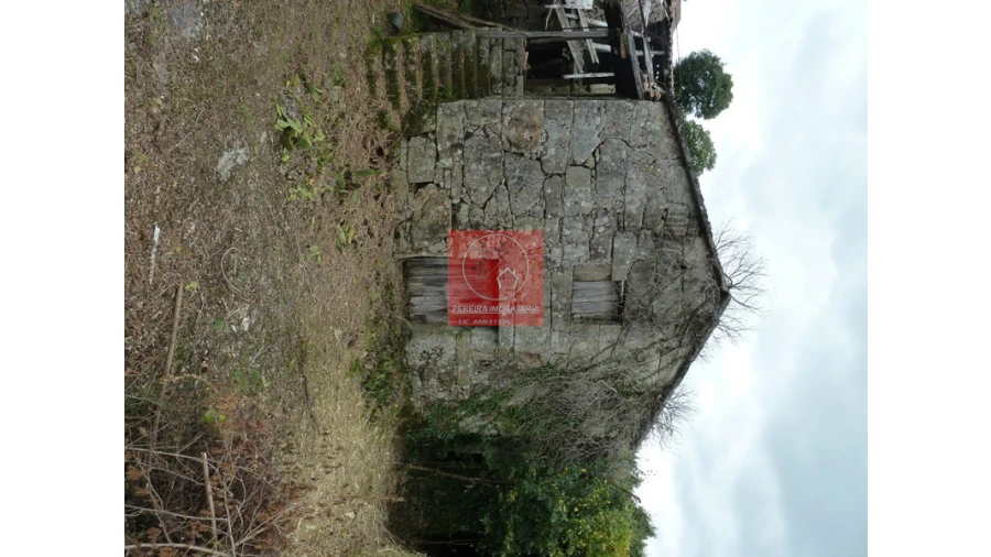 Moradia T3 para Venda em Ruivães e Campos Foto 8