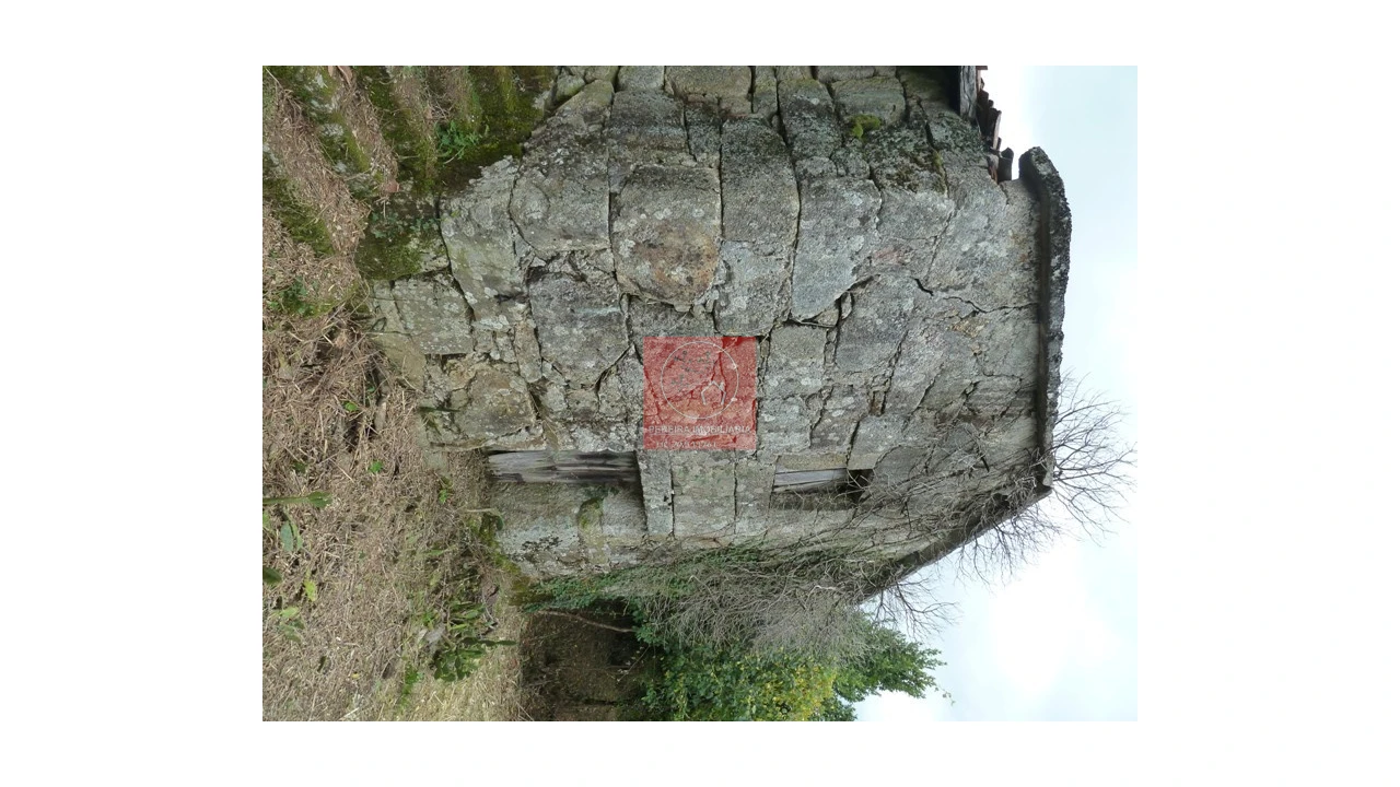 Moradia T3 para Venda em Ruivães e Campos Foto 12