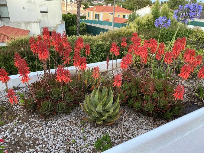 Moradia T7 para Venda em Cascais e Estoril Foto 41