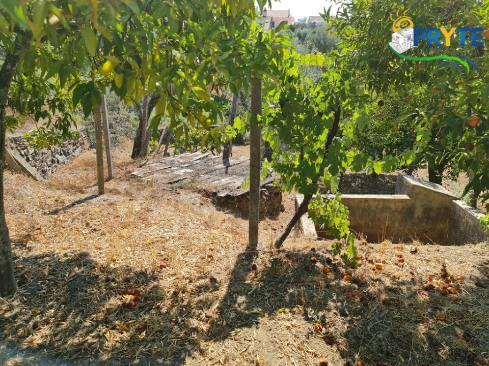 Quinta T3 para Venda em Cernache do Bonjardim, Nesperal e Palhais Foto 16
