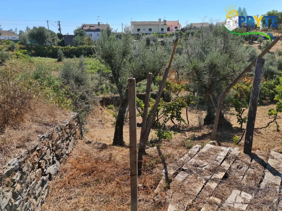 Quinta T3 para Venda em Cernache do Bonjardim, Nesperal e Palhais Foto 18