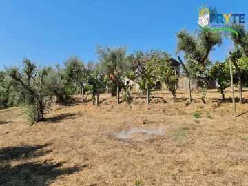Quinta T3 para Venda em Cernache do Bonjardim, Nesperal e Palhais