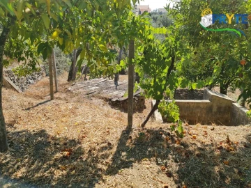 Quinta T3 para Venda em Cernache do Bonjardim, Nesperal e Palhais