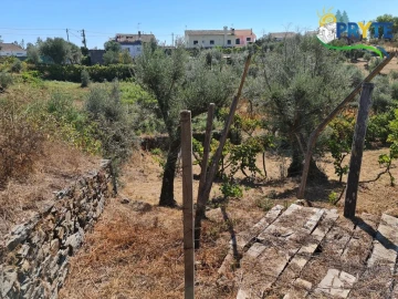 Quinta T3 para Venda em Cernache do Bonjardim, Nesperal e Palhais