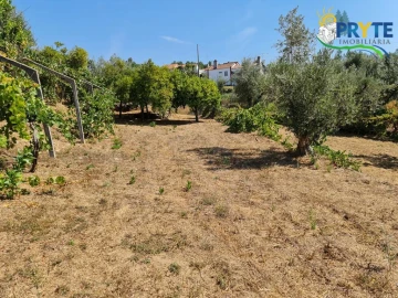 Quinta T3 para Venda em Cernache do Bonjardim, Nesperal e Palhais