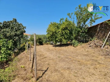 Quinta T3 para Venda em Cernache do Bonjardim, Nesperal e Palhais