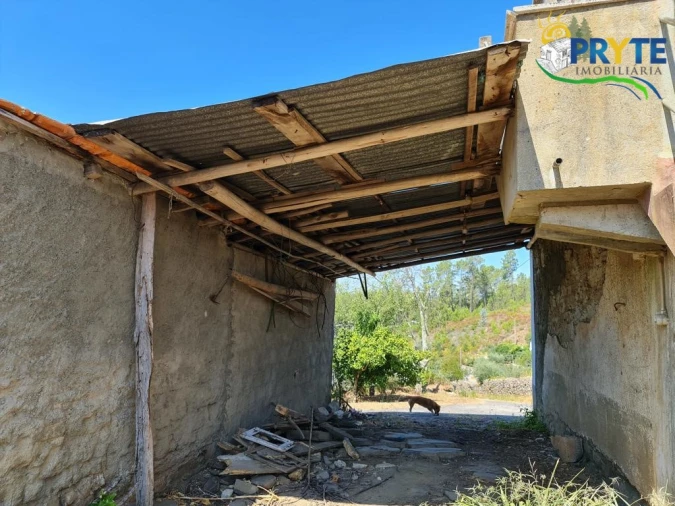 Quinta T3 para Venda em Cernache do Bonjardim, Nesperal e Palhais Foto 9