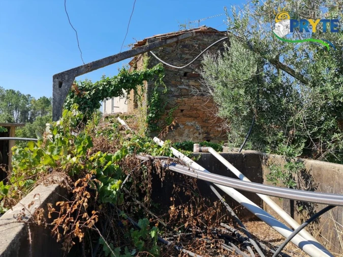 Quinta T3 para Venda em Cernache do Bonjardim, Nesperal e Palhais Foto 12