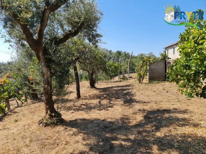 Quinta T3 para Venda em Cernache do Bonjardim, Nesperal e Palhais Foto 14