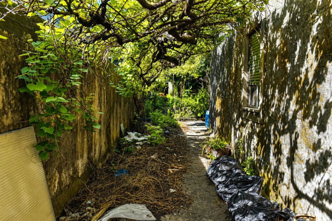 Moradia T2 para Venda em Paranhos Foto 7