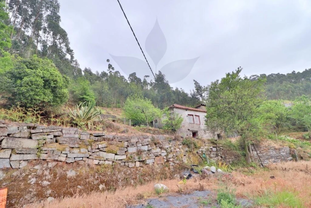 Moradia T4 para Venda em Escudeiros e Penso (Santo Estêvão e São Vicente) Foto 12