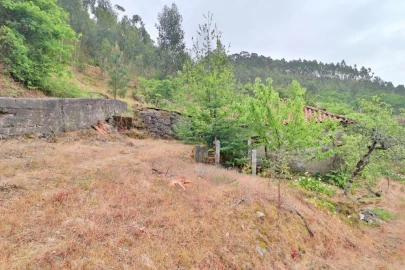 Moradia T4 para Venda em Escudeiros e Penso (Santo Estêvão e São Vicente)