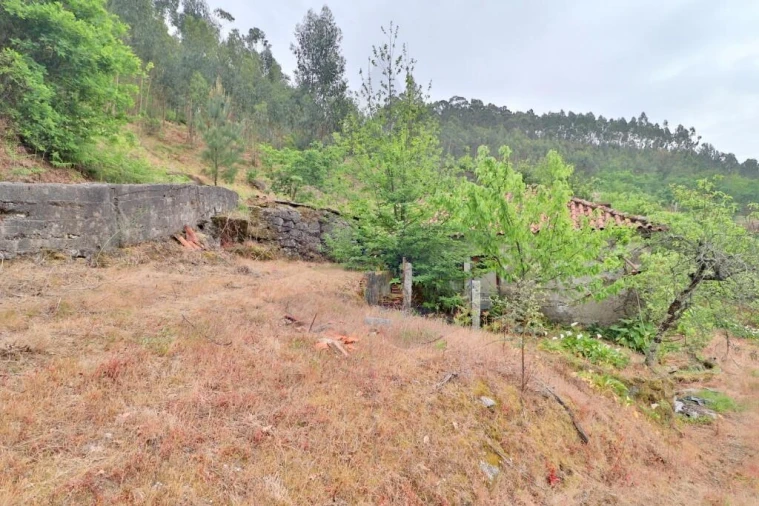 Moradia T4 para Venda em Escudeiros e Penso (Santo Estêvão e São Vicente) Foto 27