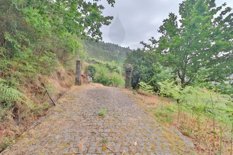 Moradia T4 para Venda em Escudeiros e Penso (Santo Estêvão e São Vicente) Foto 7