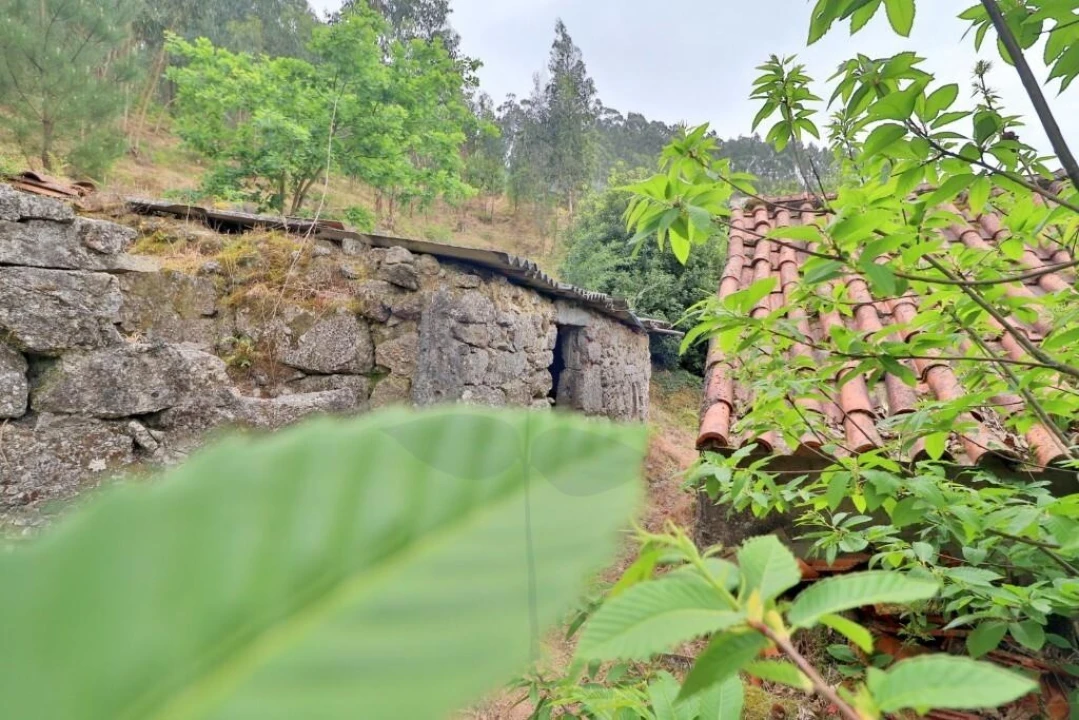 Moradia T4 para Venda em Escudeiros e Penso (Santo Estêvão e São Vicente) Foto 22