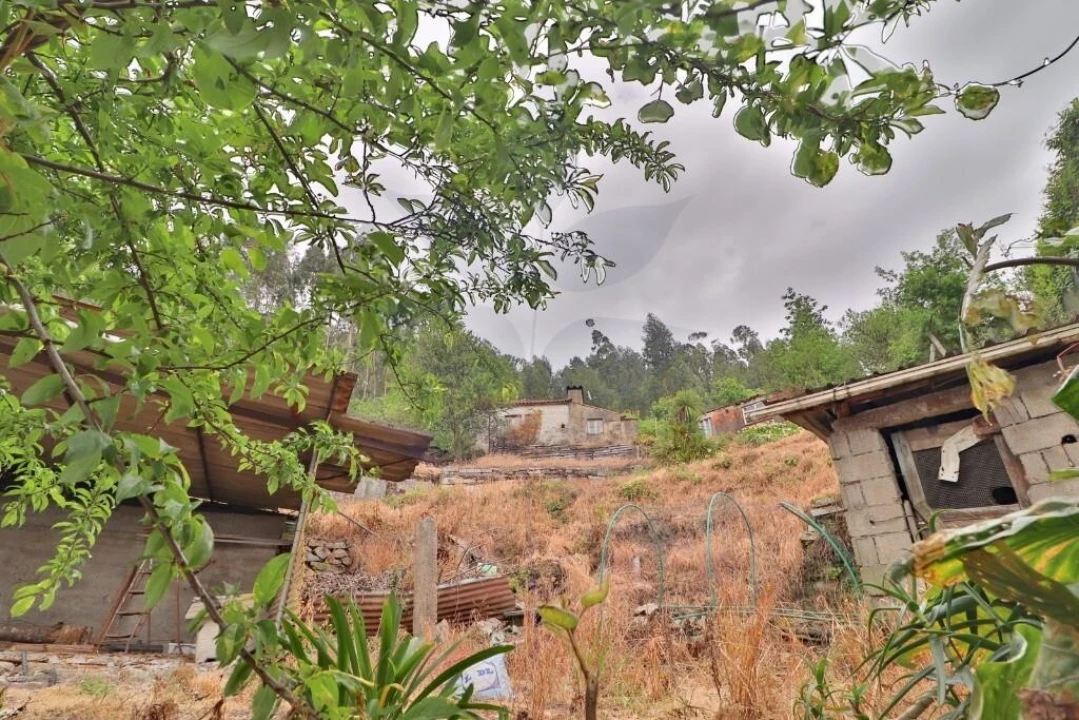 Moradia T4 para Venda em Escudeiros e Penso (Santo Estêvão e São Vicente) Foto 32