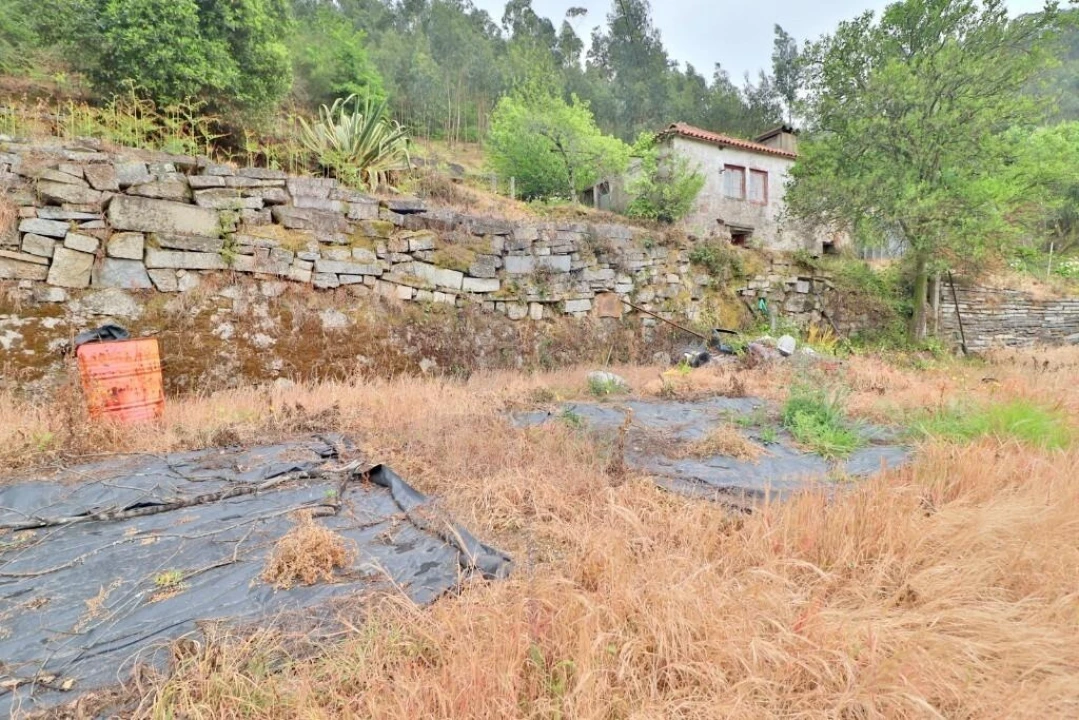 Moradia T4 para Venda em Escudeiros e Penso (Santo Estêvão e São Vicente) Foto 17