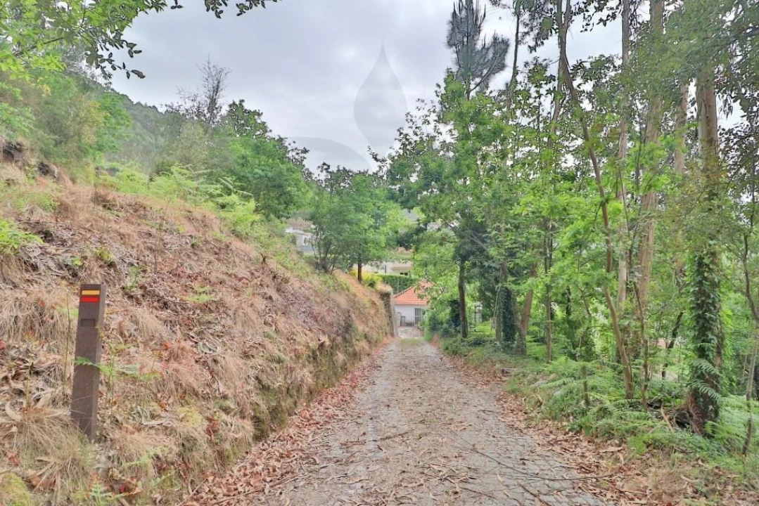 Moradia T4 para Venda em Escudeiros e Penso (Santo Estêvão e São Vicente) Foto 29
