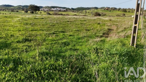 Terreno para Venda em Garvão e Santa Luzia