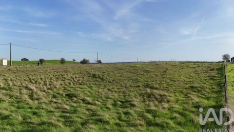 Terreno para Venda em Garvão e Santa Luzia