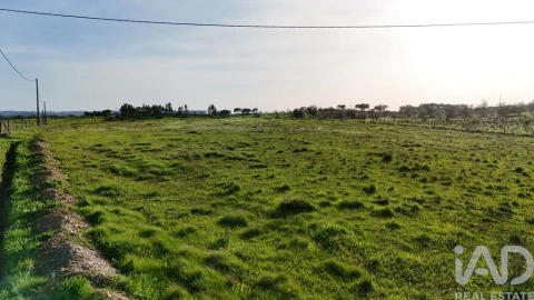 Terreno para Venda em Garvão e Santa Luzia