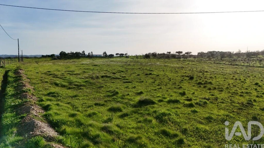 Terreno para Venda em Garvão e Santa Luzia Foto 4